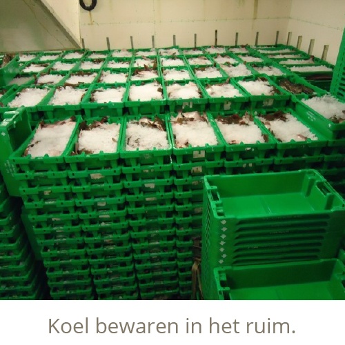 Koel bewaren in het ruim