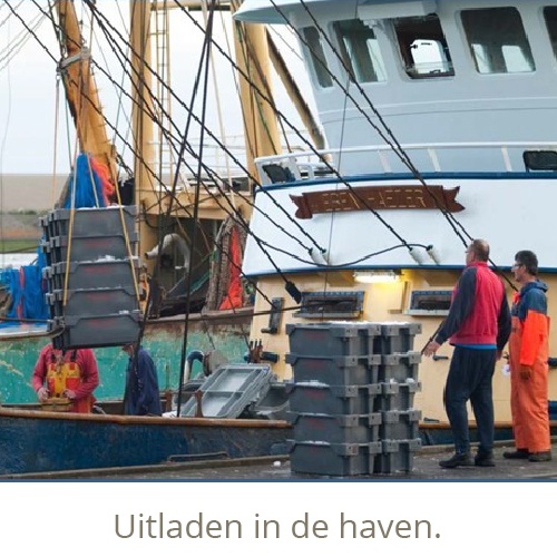 Uitladen in de haven