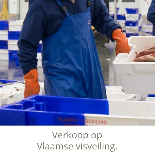 Verkoop op visveiling