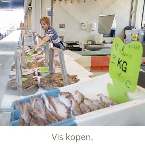 Vis kopen